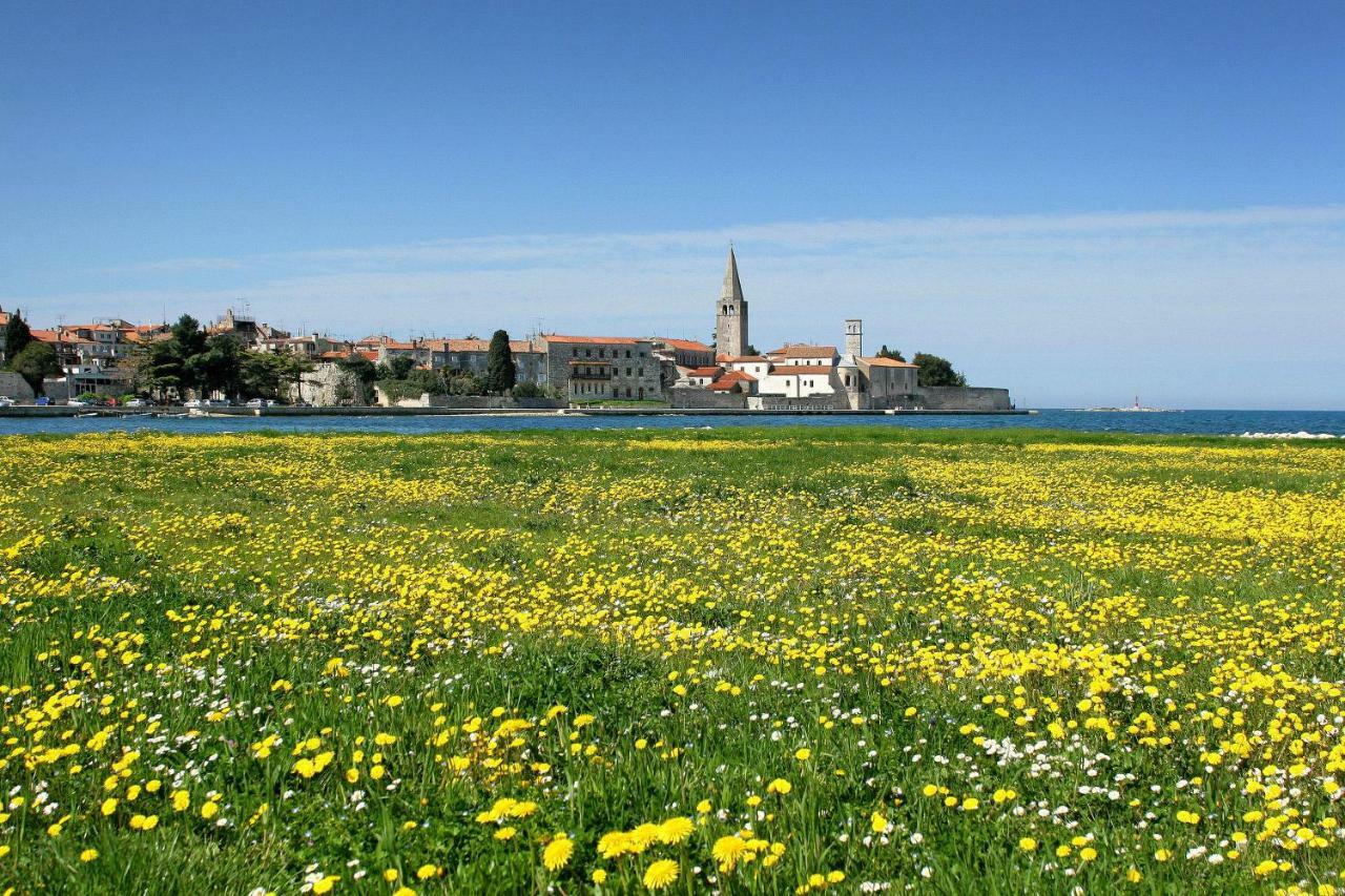 Apartman Alberta Poreč Extérieur photo